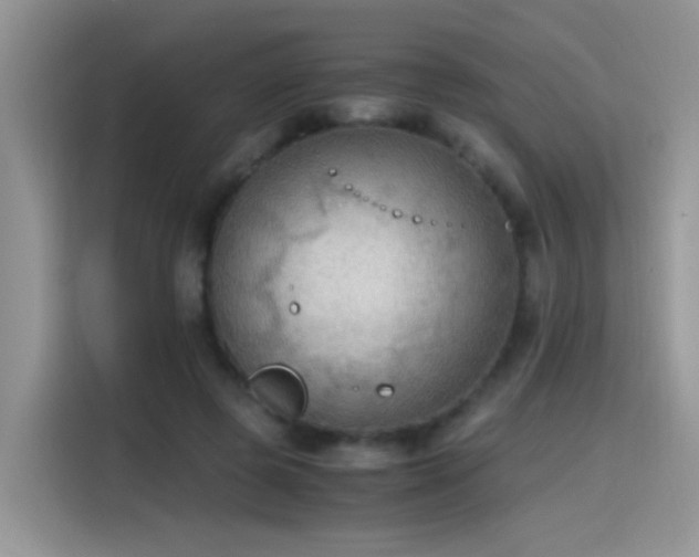 X0000115440545200911121125