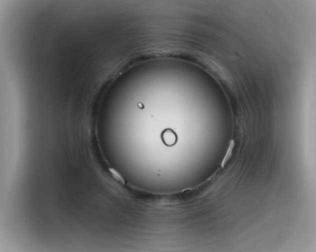 X0000115440546200911121125