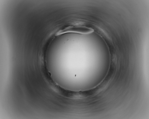 X0000115440547200911121125