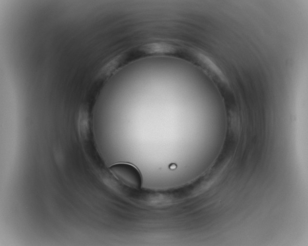 X0000115440549200911121125