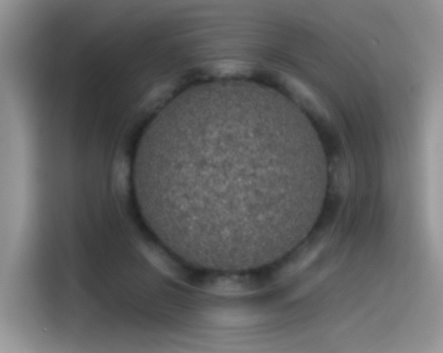 X0000115440550200911121125