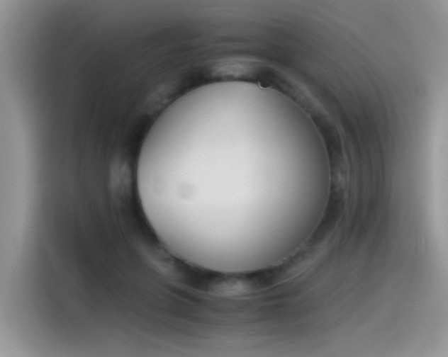 X0000115440551200911121125