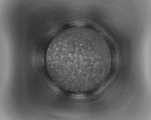 X0000115440553200911121125