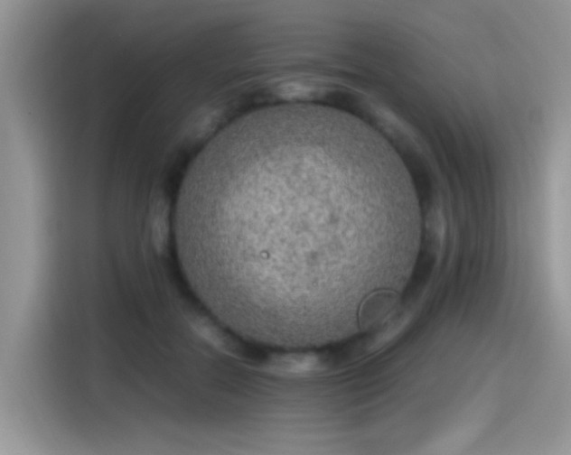X0000115440554200911121125