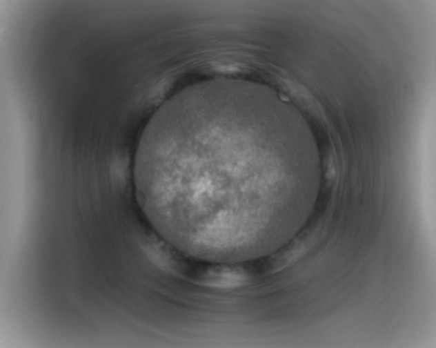 X0000115440559200911121125
