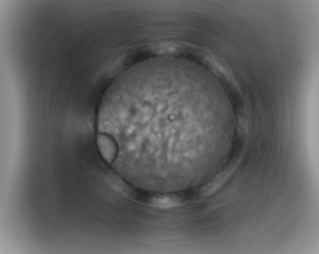 X0000115440561200911121125