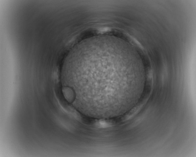X0000115440565200911121125