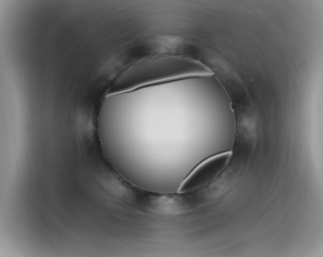 X0000115440566200911121125