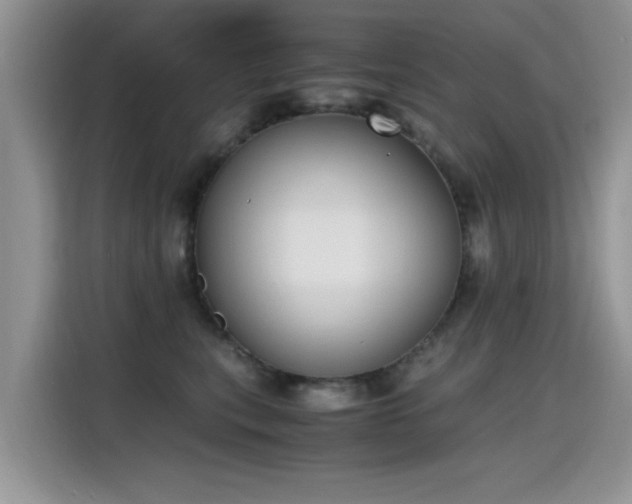 X0000115440567200911121125