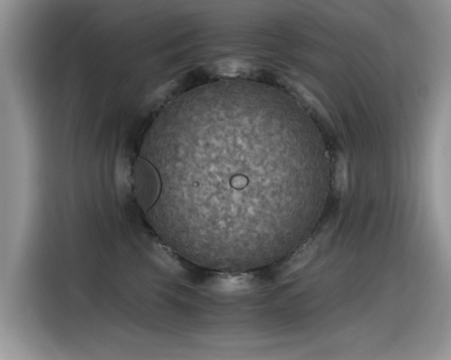 X0000115440569200911121125