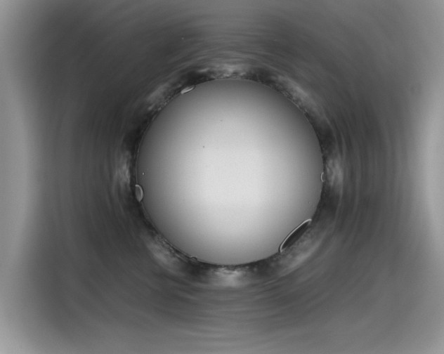 X0000115440570200911121125