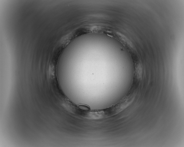 X0000115440571200911121125