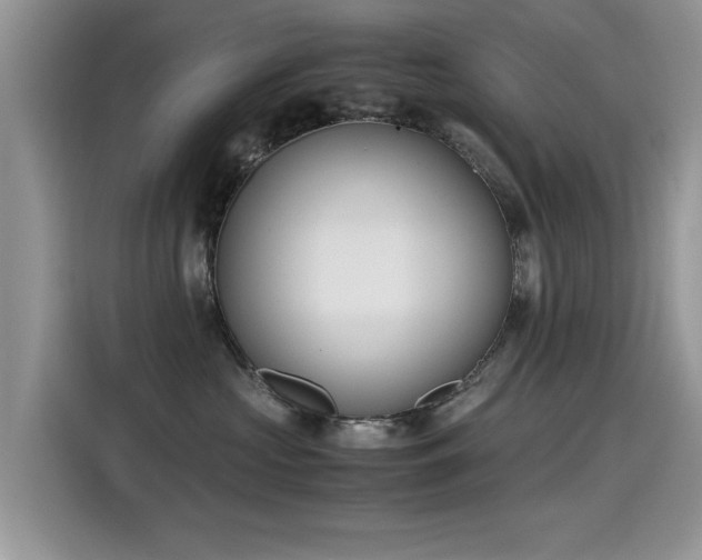 X0000115440573200911121125