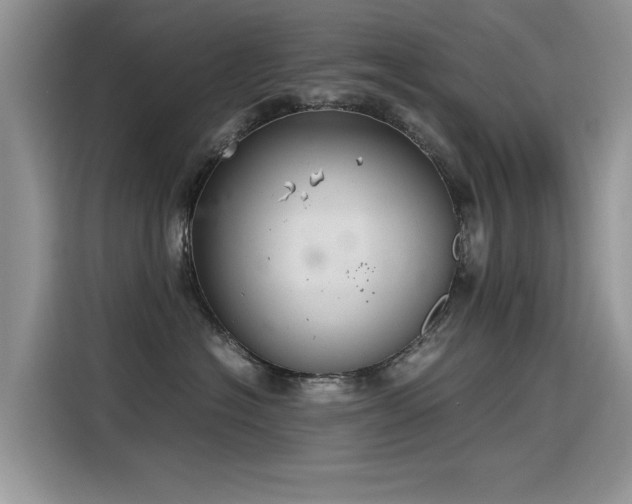 X0000115440574200911121125