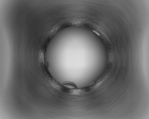 X0000115440575200911121125