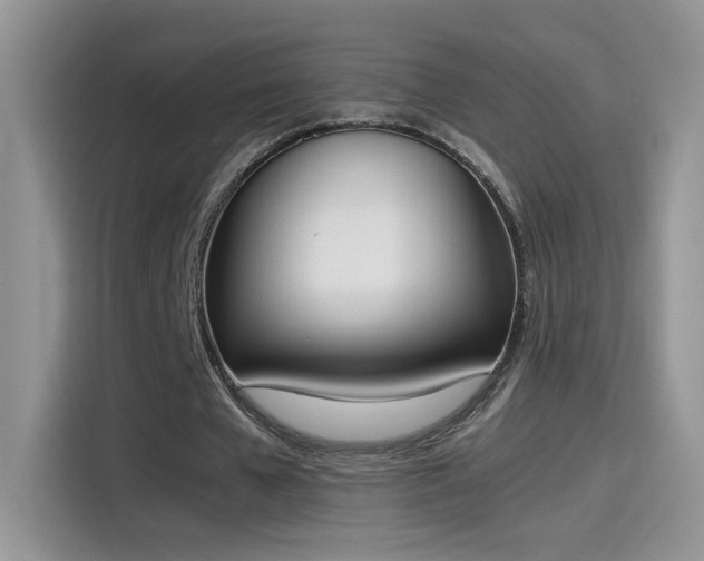 X0000115440577200911121125