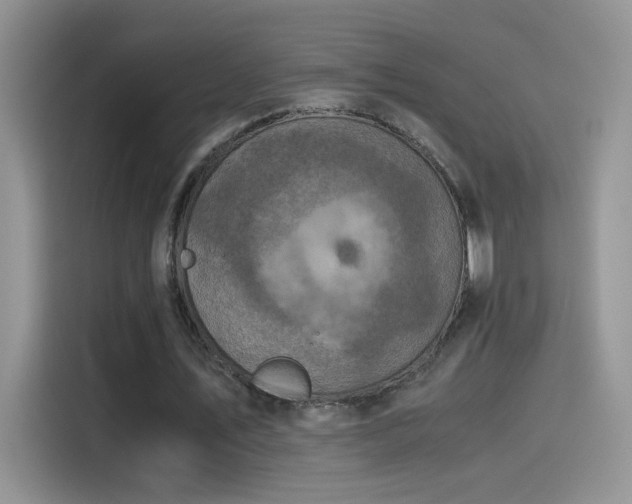 X0000115440579200911121125