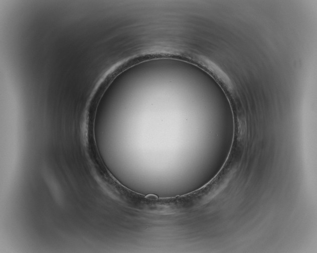 X0000115440580200911121125