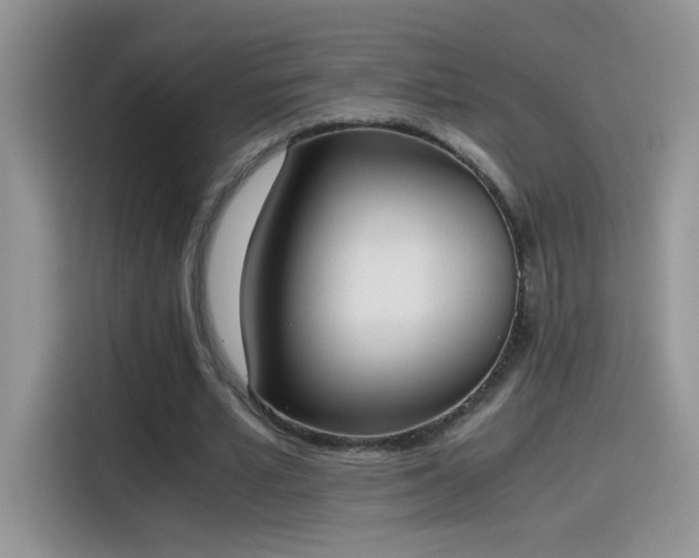X0000115440581200911121125