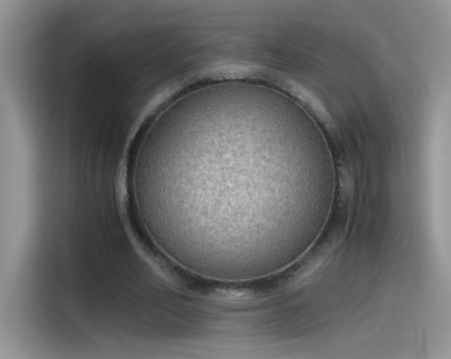 X0000115440582200911121125