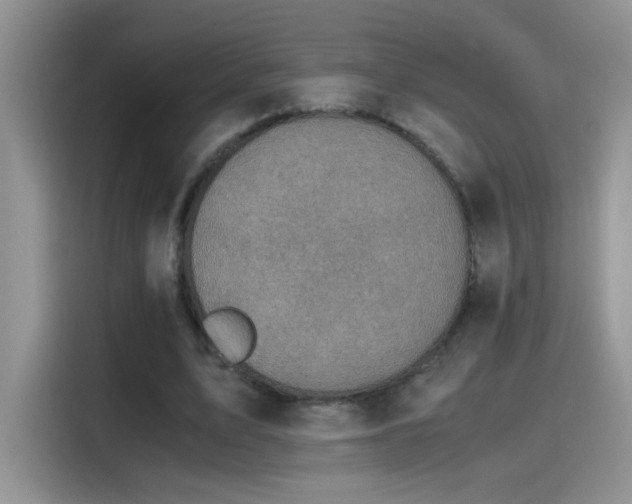 X0000115440583200911121125