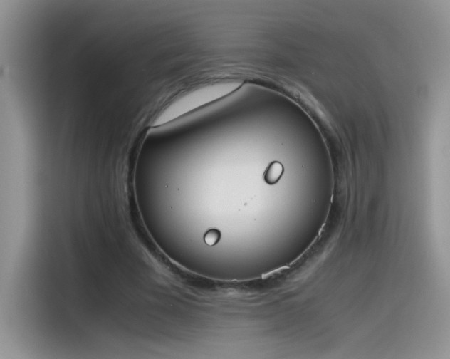 X0000115440585200911121125