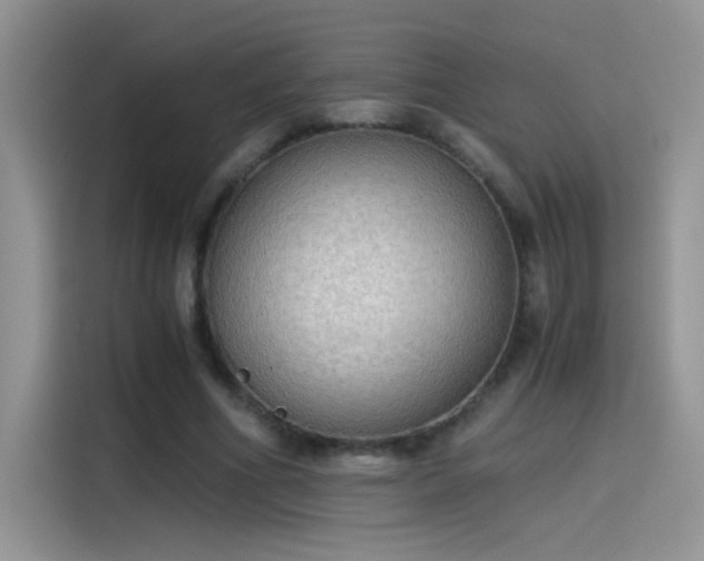 X0000115440586200911121125