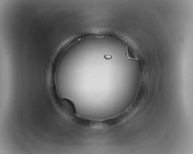 X0000115440587200911121125