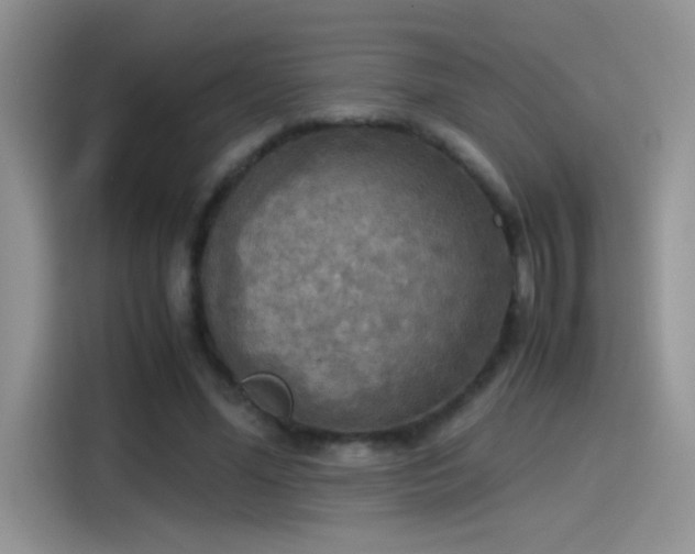 X0000115440588200911121125