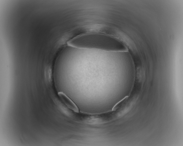 X0000115440589200911121125