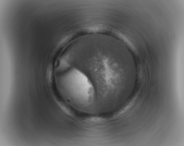 X0000115440590200911121125