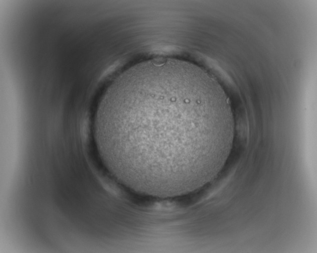 X0000115440591200911121125