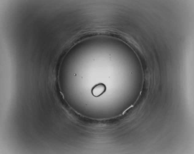 X0000115440593200911121125