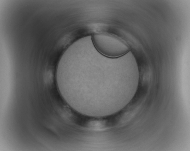 X0000115440595200911121125