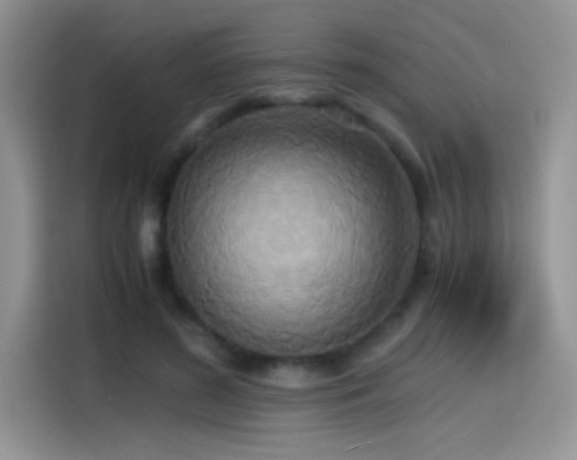 X0000115440596200911121125