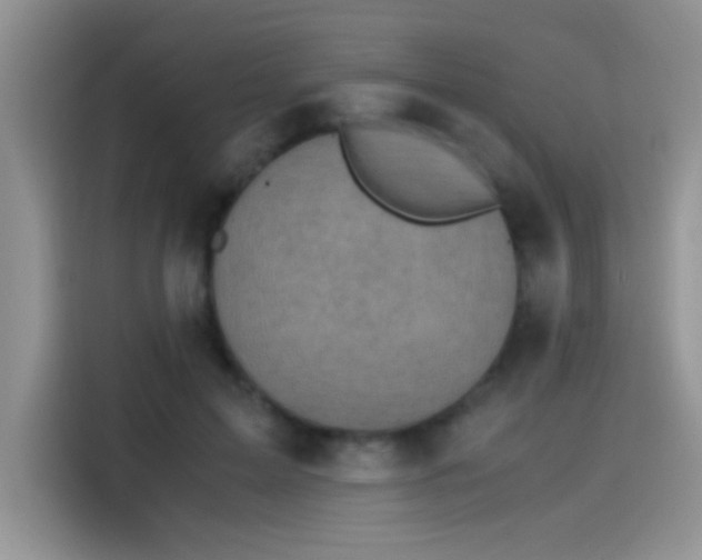 X0000115440599200911121125