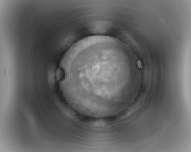 X0000115440600200911121125
