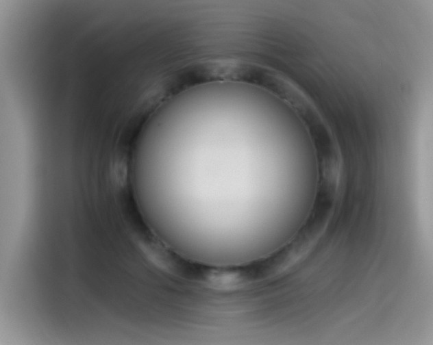 X0000115440602200911121125