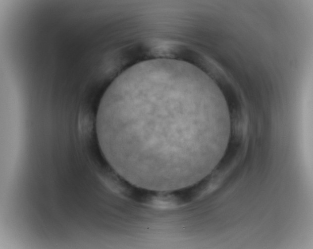 X0000115440603200911121125