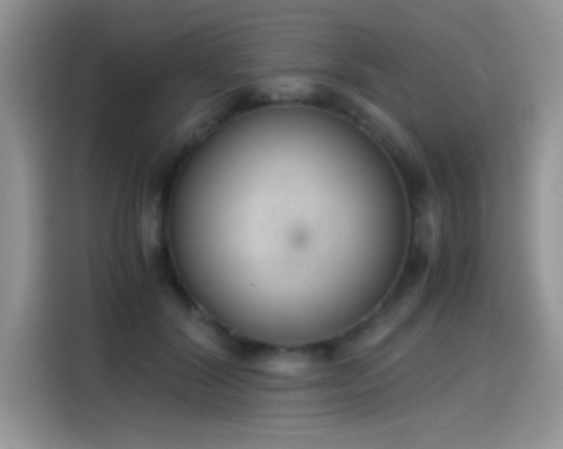 X0000115440604200911121125