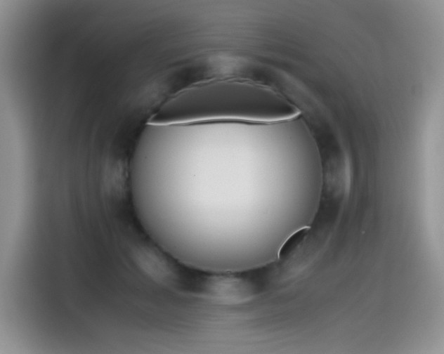 X0000115440605200911121125