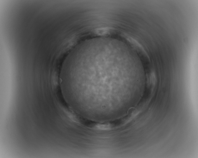 X0000115440606200911121124