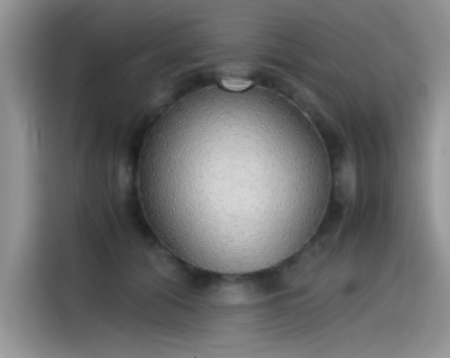 X0000115440608200911121124