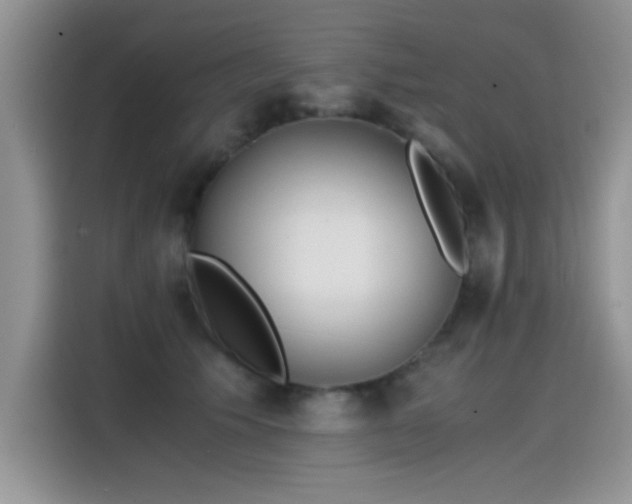 X0000115440609200911121124