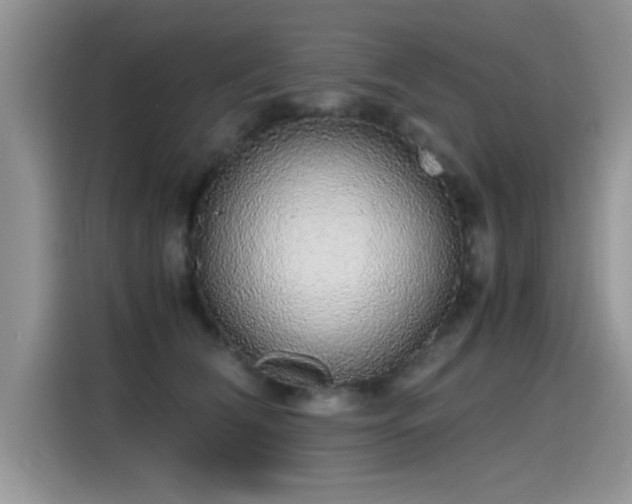 X0000115440612200911121124