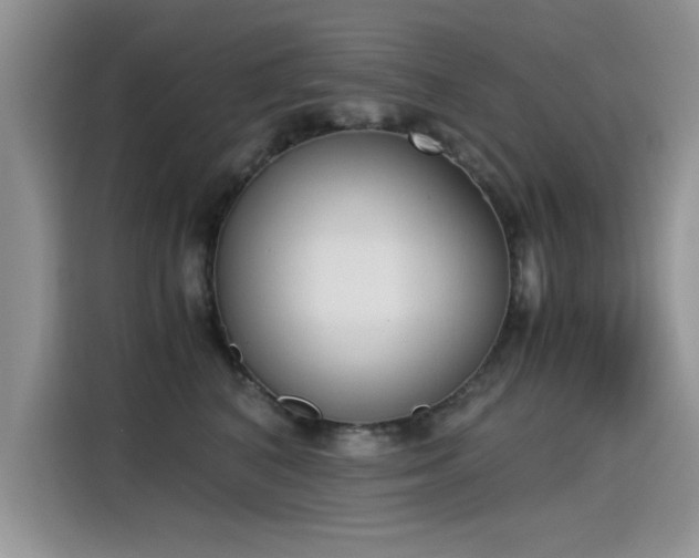 X0000115440616200911121124