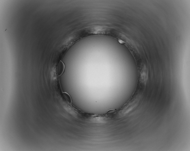 X0000115440620200911121124
