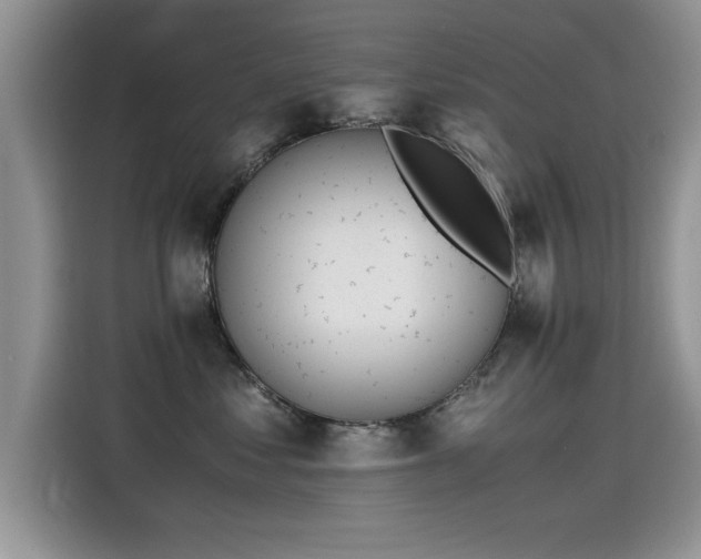 X0000115440621200911121124
