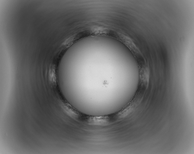X0000115440622200911121124
