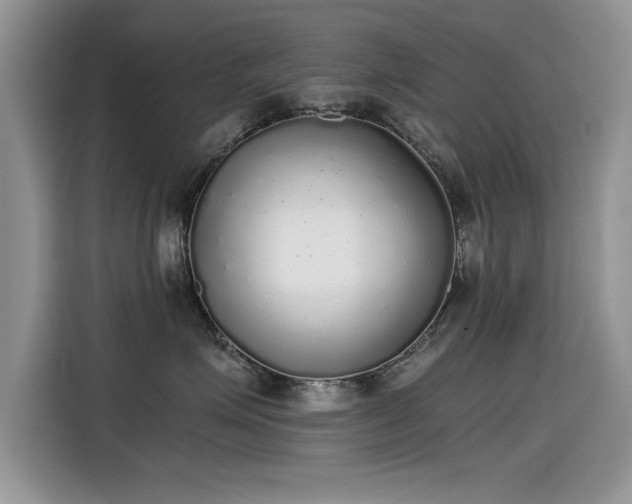 X0000115440623200911121124